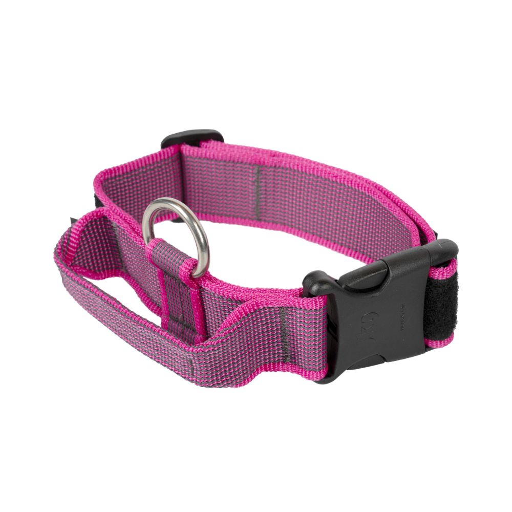 Julius K9 Collar con Asa para Perros al mejor precio -Todoanimal.es