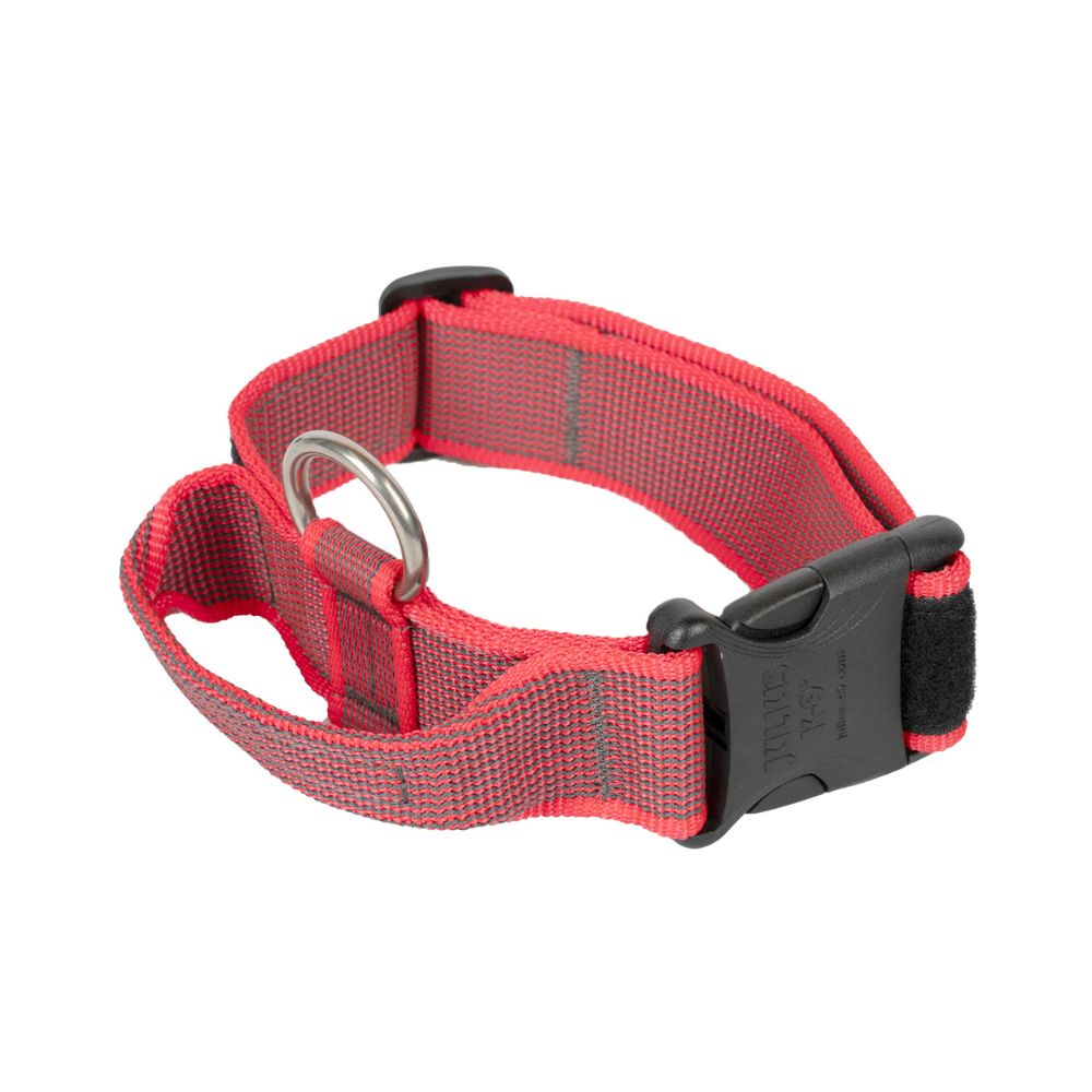 Julius K9 Collar con Asa para Perros al mejor precio -Todoanimal.es