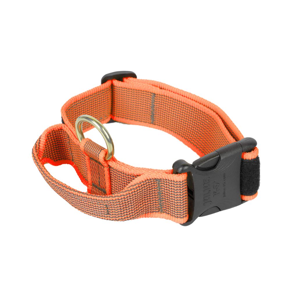Julius K9 Collar con Asa para Perros al mejor precio -Todoanimal.es