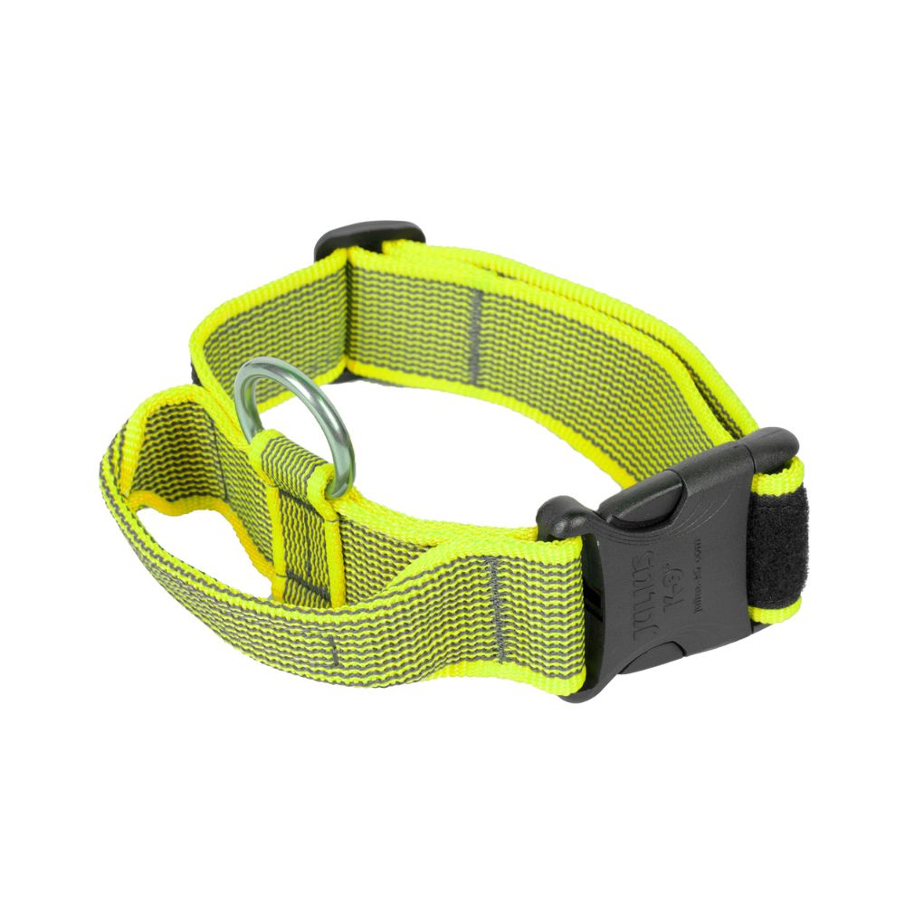 Julius K9 Collar con Asa para Perros al mejor precio -Todoanimal.es