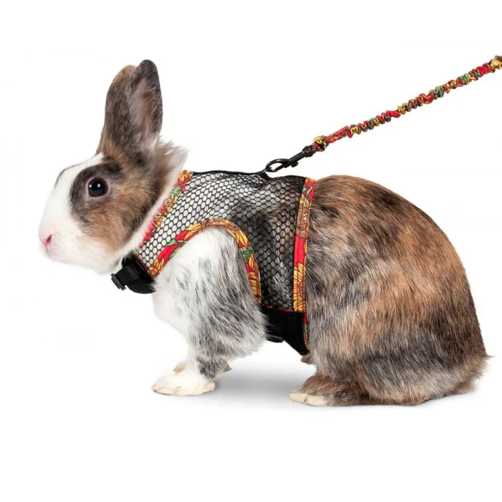 Karlie Arnés Rejilla+Correa Para Roedores al mejor precio -Todoanimal.es