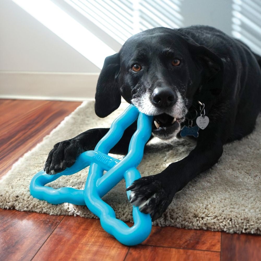 Kong Flyangle Assorted L Juguete para Perros al mejor precio -Todoanimal.es