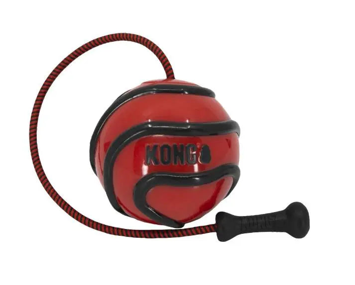 Kong Juguete Perro Wavz Bunjiball L - Precios Más Baratos - Todoanimal
