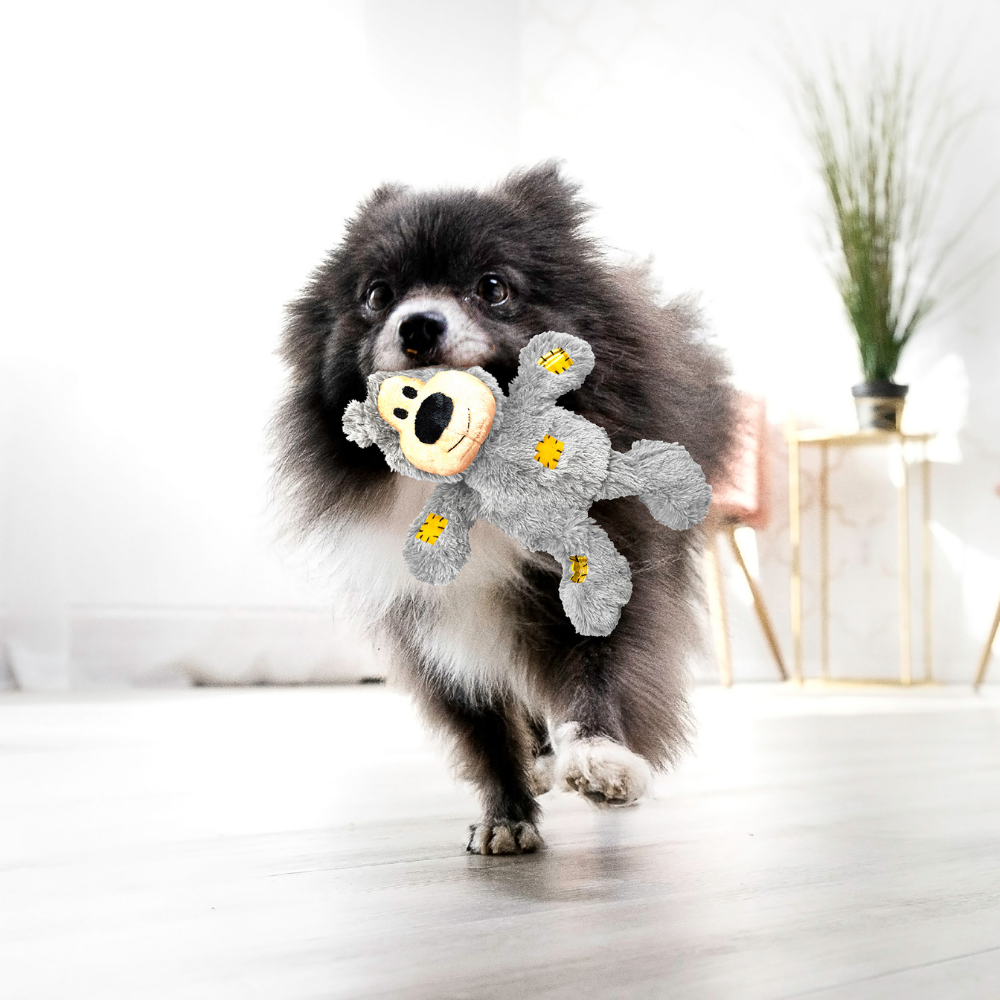 Kong Juguete Perro Wildknots Oso XS al mejor precio -Todoanimal.es