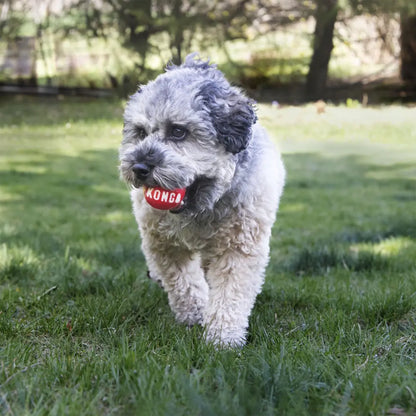 Kong Signature Balls Pack-2 al mejor precio -Todoanimal.es