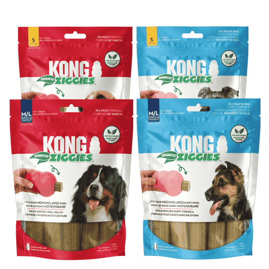 Kong Ziggies Enhanced Snack para Perros Adultos y Cachorros al mejor precio -Todoanimal.es