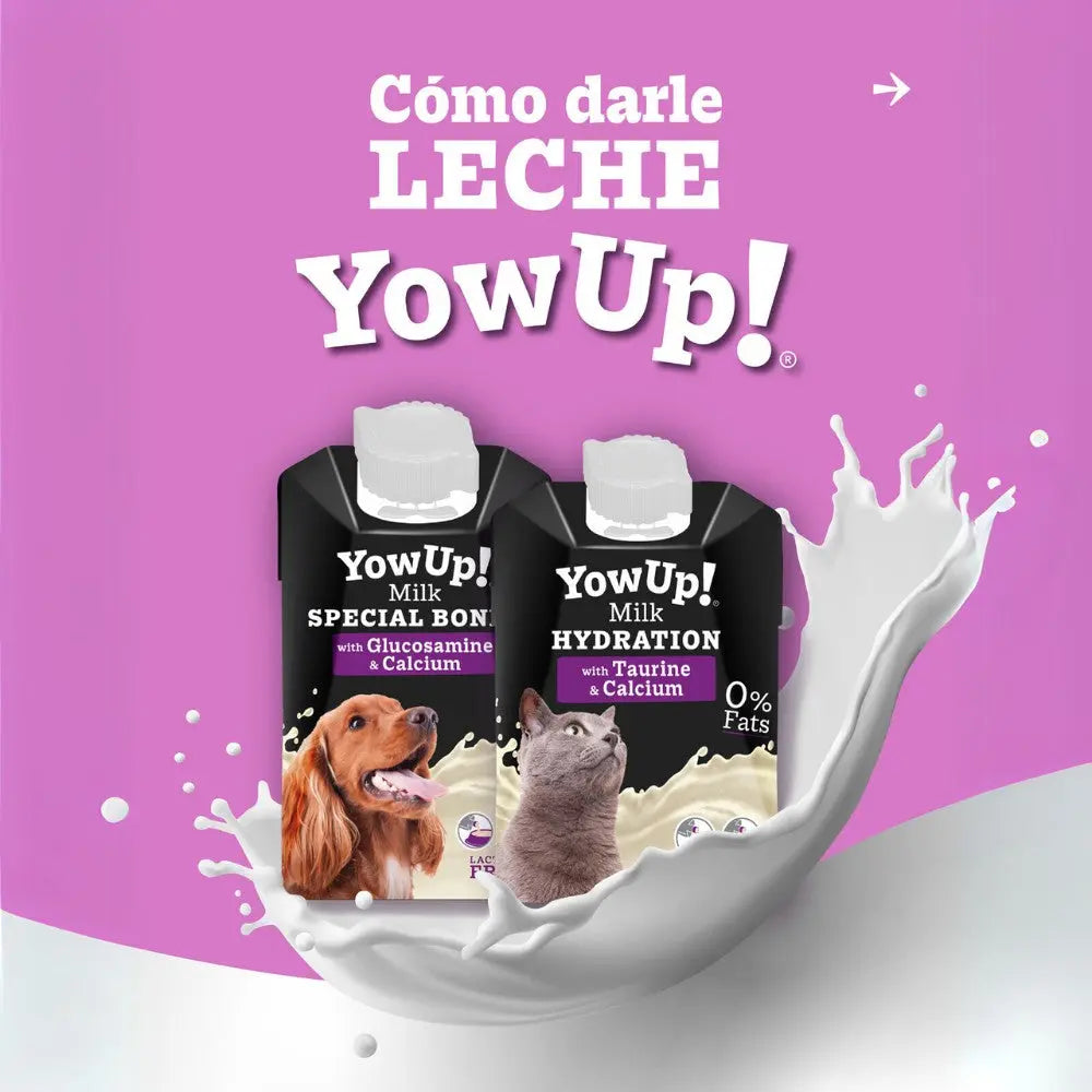 Leche para Perros 250 ml YowUp! al mejor precio -Todoanimal.es