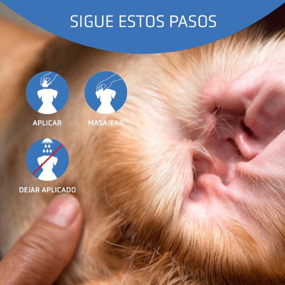 Limpiador Auricular Aurigel 100 ml al mejor precio -Todoanimal.es