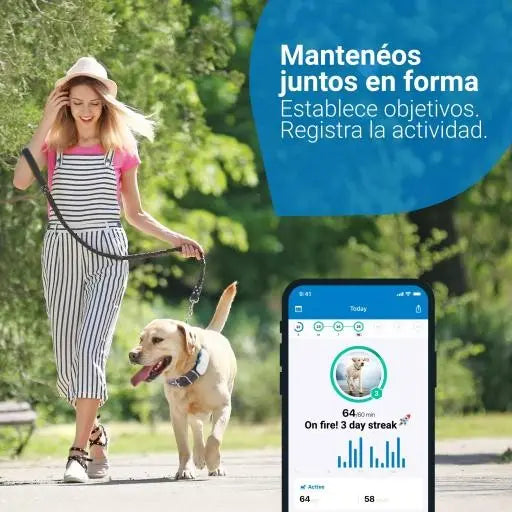 Localizador Gps Tractive Para Collar De Perro - Precios Más Baratos - Todoanimal
