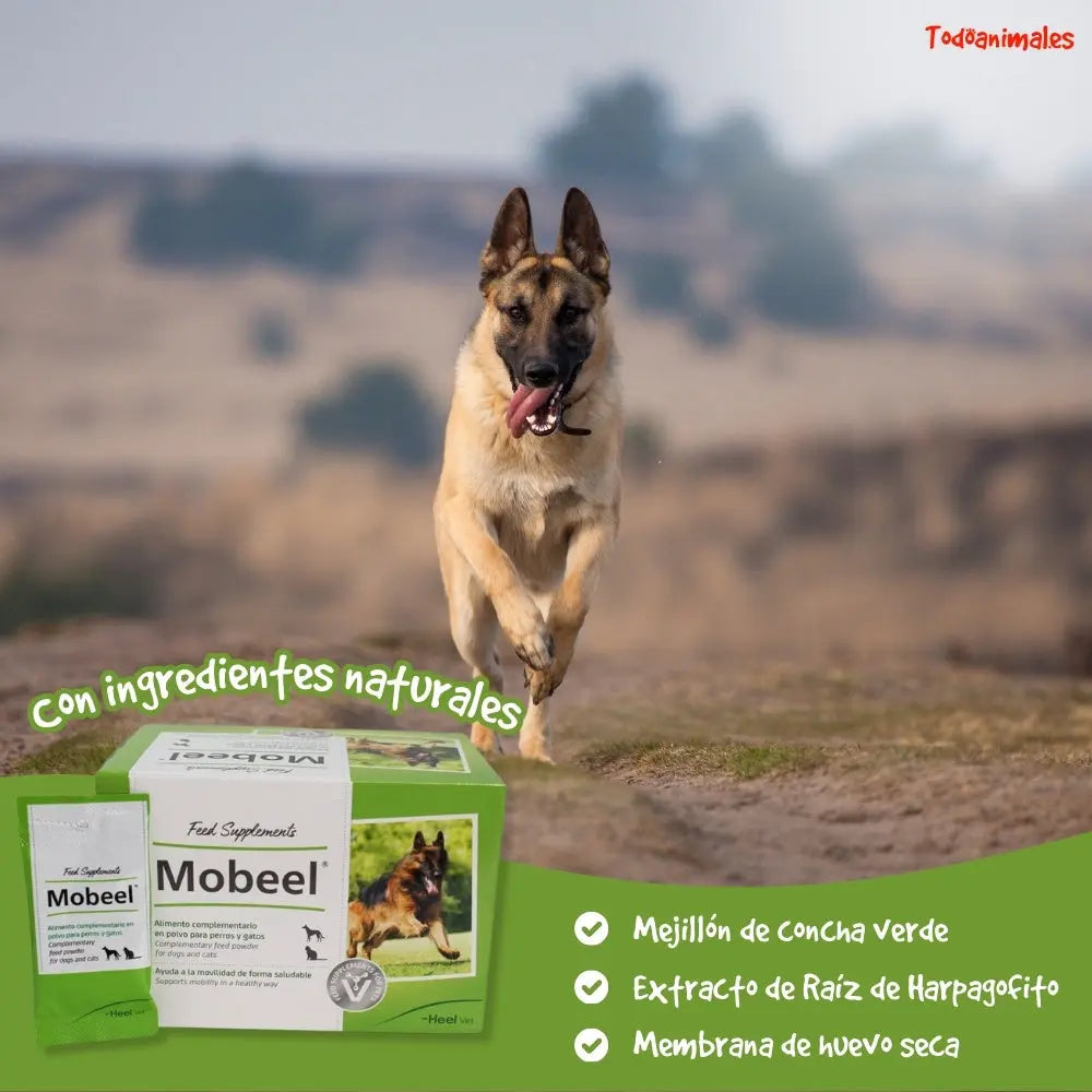 Mobeel Sobre 4 gr - Condroprotector con Ingredientes Naturales para Perros y Gatos - Condroitín, Mejillón de Concha Verde y Glucosamina HEEL