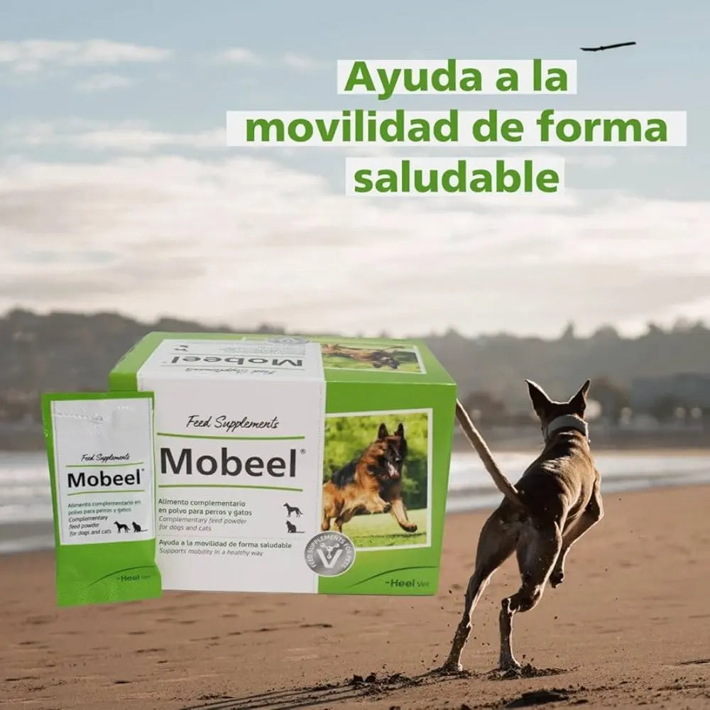 Mobeel Sobre 4 gr - Condroprotector con Ingredientes Naturales para Perros y Gatos - Condroitín, Mejillón de Concha Verde y Glucosamina HEEL