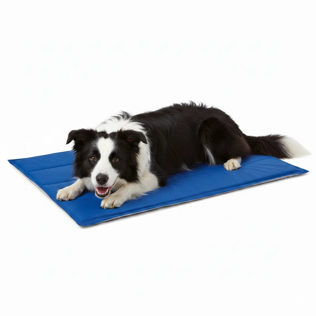 Nayeco Colchón Refrigerante Cool Mat para Perros y Gatos al mejor precio -Todoanimal.es