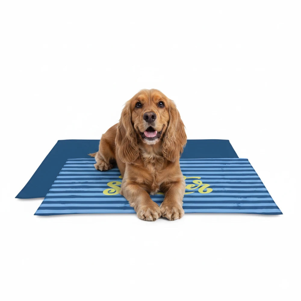 Nayeco Colchoneta Refrigerante Hello Summer Cool Pad para Perros y Gatos al mejor precio -Todoanimal.es