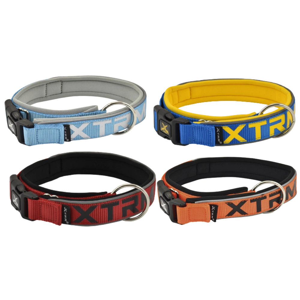 Nayeco Collar X-TRM Neon Flash para Perro al mejor precio -Todoanimal.es