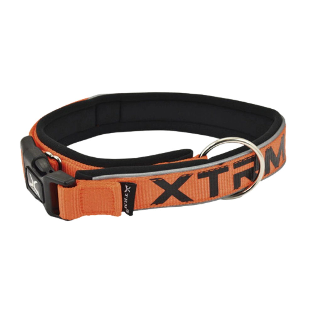 Nayeco Collar X-TRM Neon Flash para Perro al mejor precio -Todoanimal.es