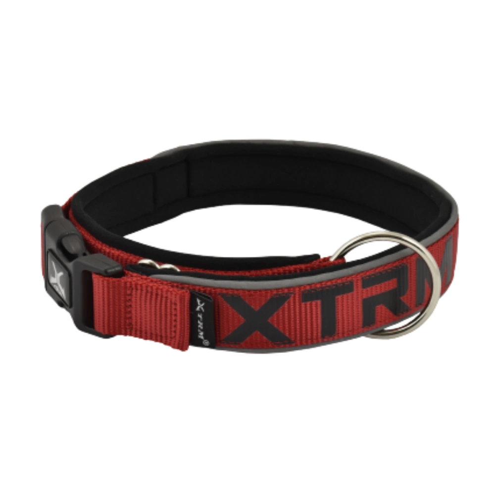 Nayeco Collar X-TRM Neon Flash para Perro al mejor precio -Todoanimal.es