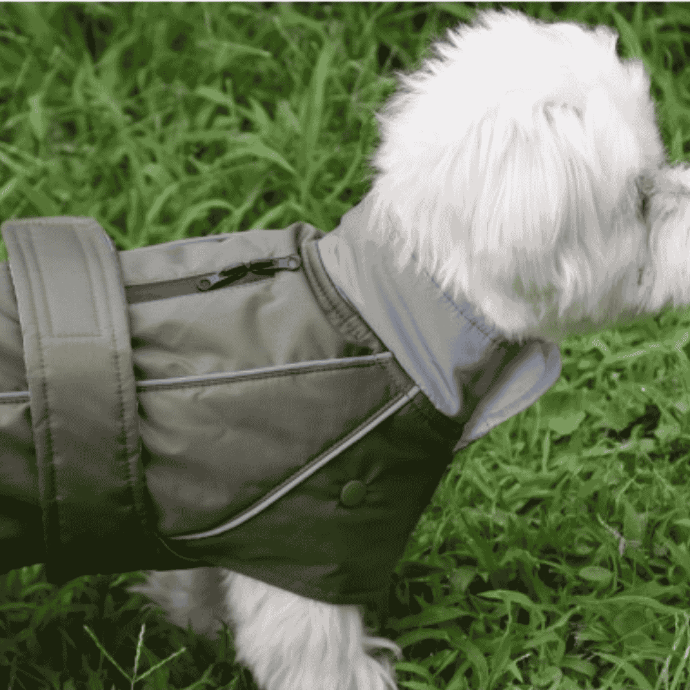Nayeco Impermeable con Forro Extraíble para Perros al mejor precio -Todoanimal.es