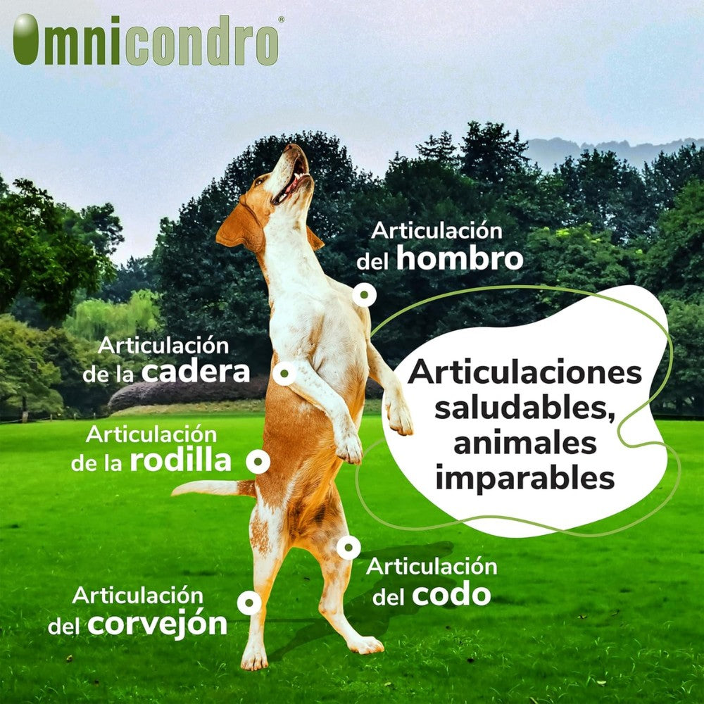 Omnicondro 10 | 60 comprimidos | Condroprotector para Perros, Gatos y Cachorros con Glucosamina y Condroitina | Suplemento Nutricional para Reforzar Articulaciones | Hifarmax al mejor precio -Todoanimal.es