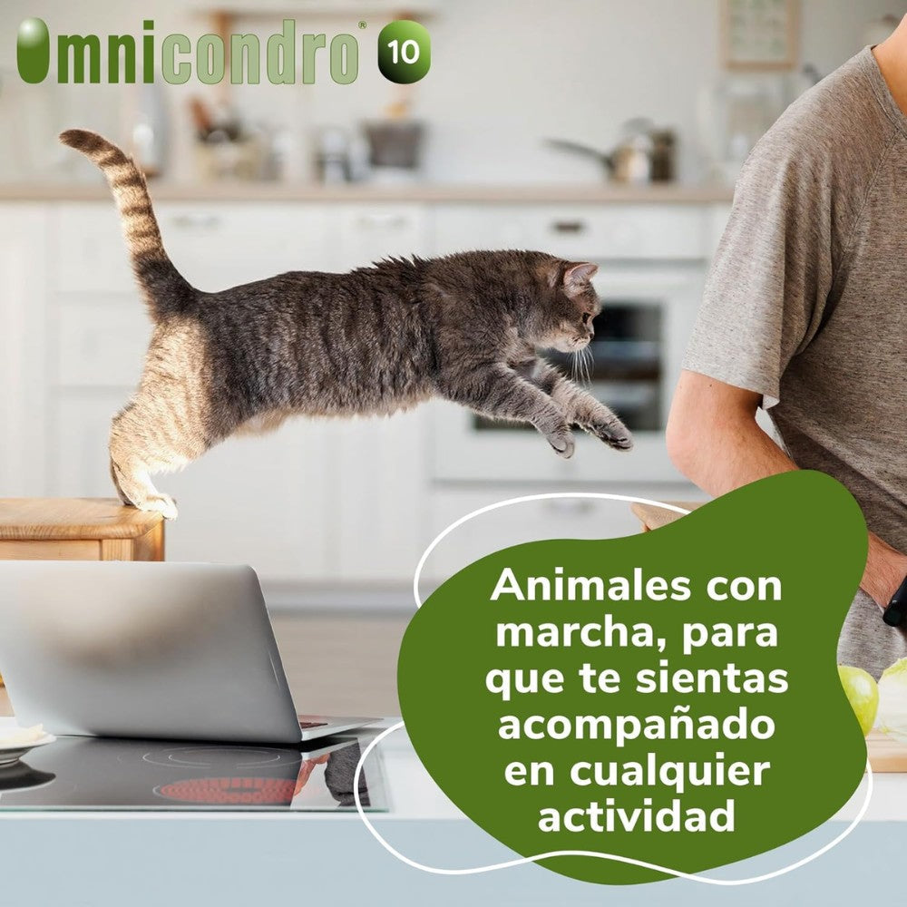 Omnicondro 10 | 60 comprimidos | Condroprotector para Perros, Gatos y Cachorros con Glucosamina y Condroitina | Suplemento Nutricional para Reforzar Articulaciones | Hifarmax al mejor precio -Todoanimal.es