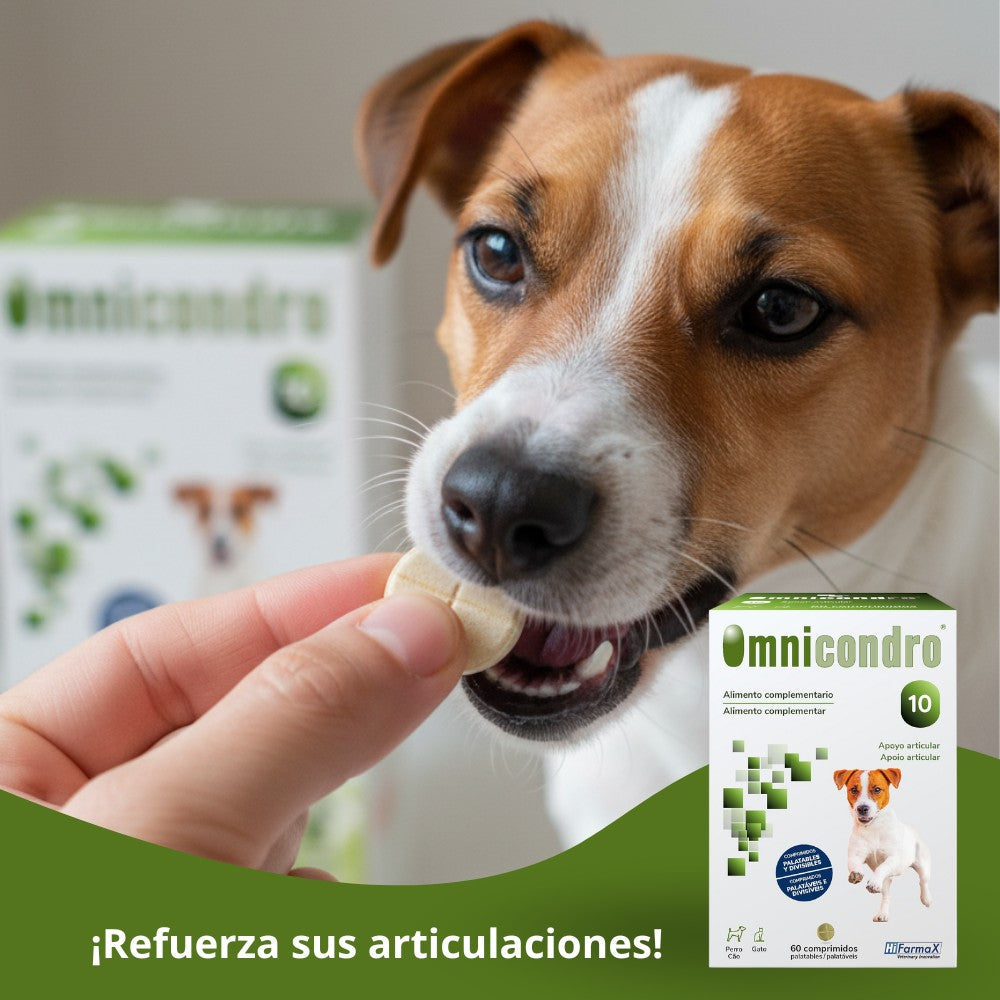 Omnicondro 10 | 60 comprimidos | Condroprotector para Perros, Gatos y Cachorros con Glucosamina y Condroitina | Suplemento Nutricional para Reforzar Articulaciones | Hifarmax al mejor precio -Todoanimal.es