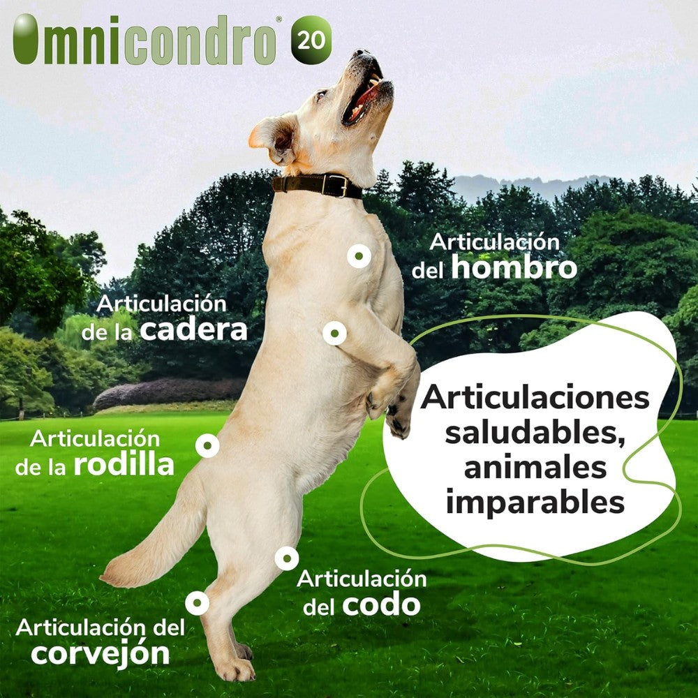 Omnicondro 20 | 60 comprimidos | Condroprotector para Perros y Gatos con Glucosamina y Condroitina | Suplemento Nutricional para Reforzar Articulaciones | Hifarmax al mejor precio -Todoanimal.es