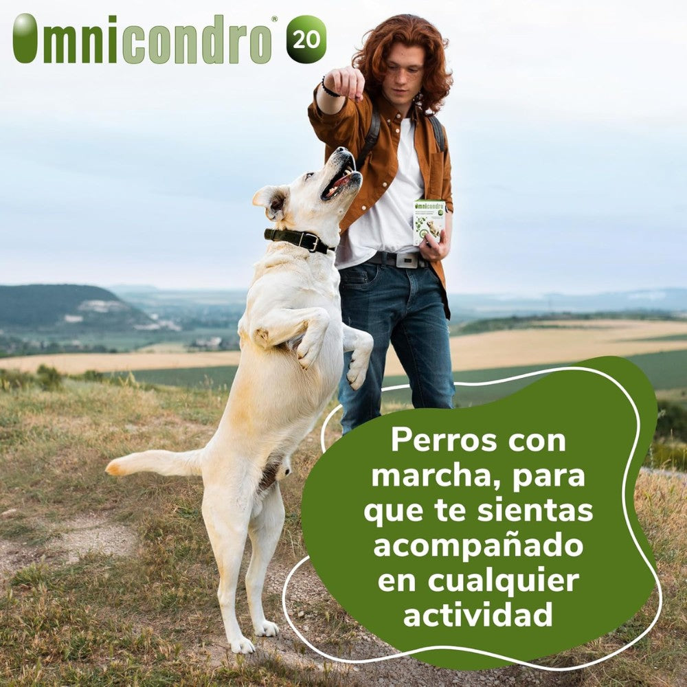 Omnicondro 20 | 60 comprimidos | Condroprotector para Perros y Gatos con Glucosamina y Condroitina | Suplemento Nutricional para Reforzar Articulaciones | Hifarmax al mejor precio -Todoanimal.es