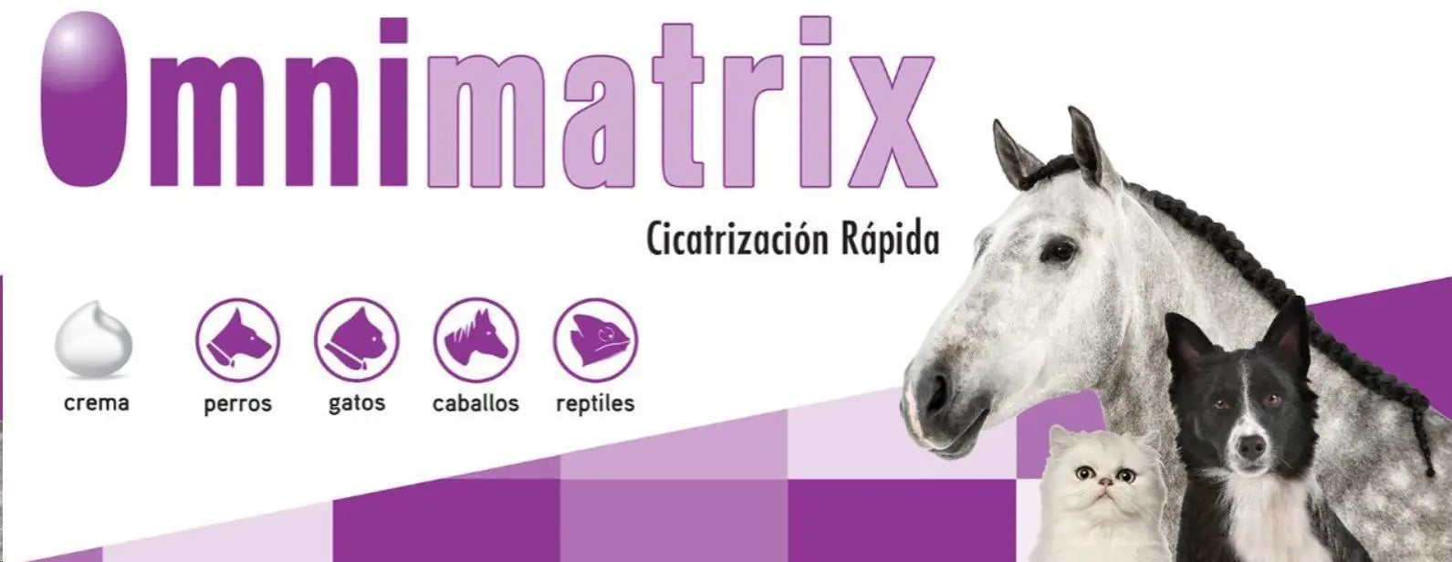 Omnimatrix Pomada 20 Gr - Precios Más Baratos - Todoanimal