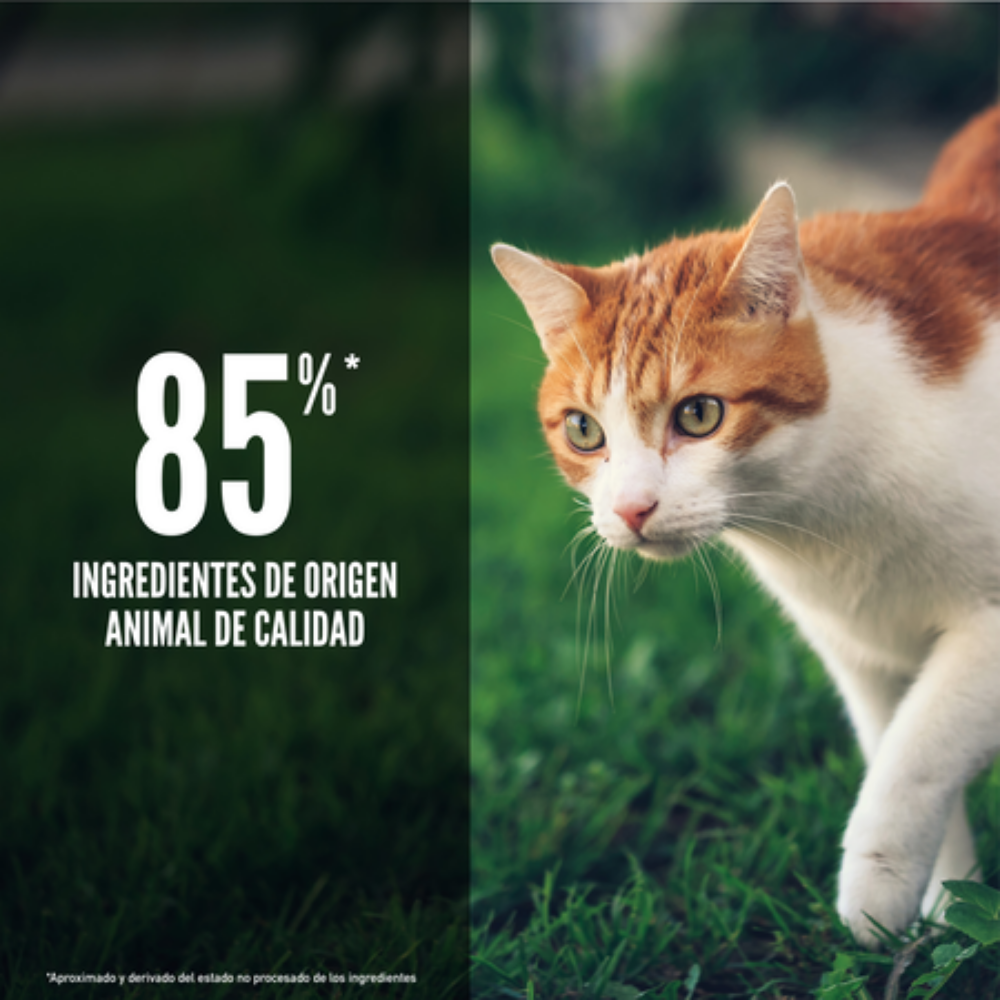Orijen Cat Fit & Trim al mejor precio -Todoanimal.es