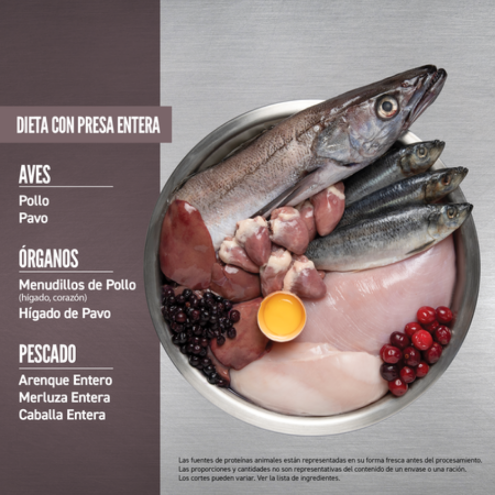 Orijen Cat Fit & Trim al mejor precio -Todoanimal.es