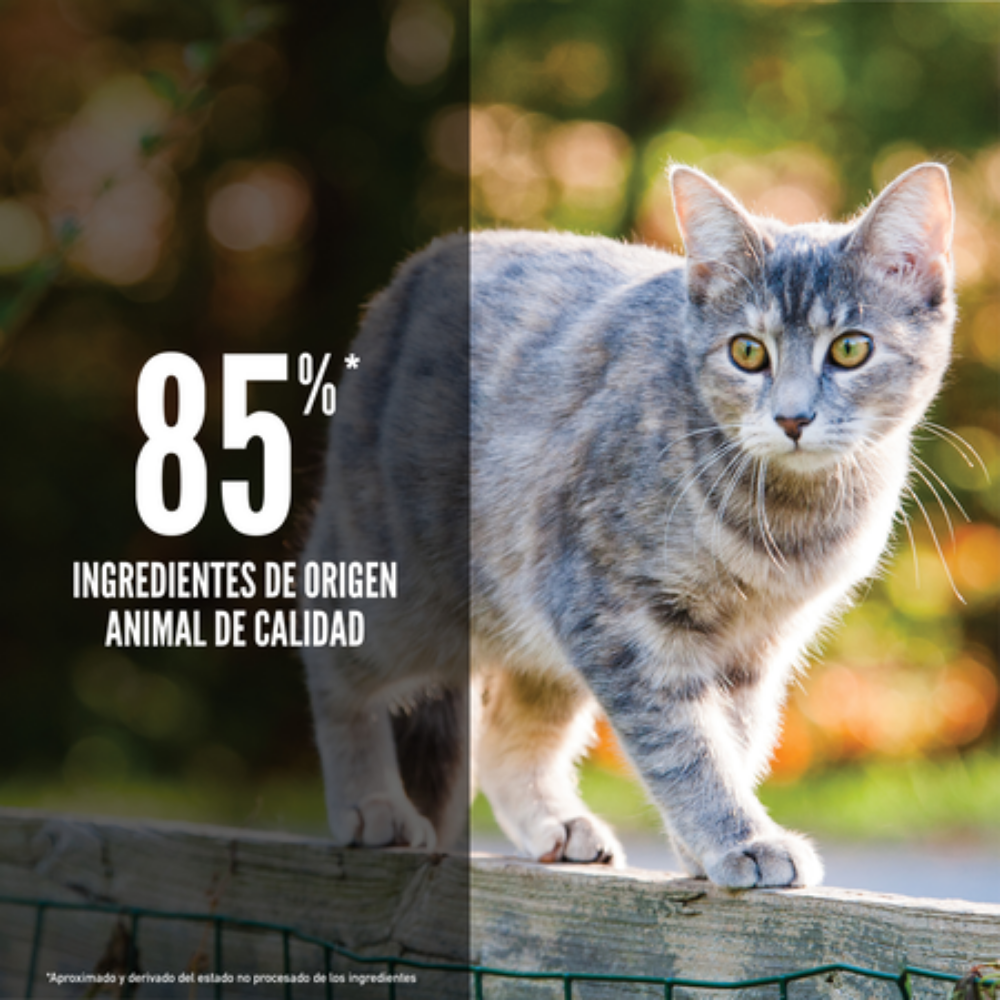 Orijen Cat Original al mejor precio -Todoanimal.es