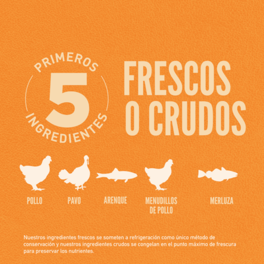 Orijen Cat Original al mejor precio -Todoanimal.es