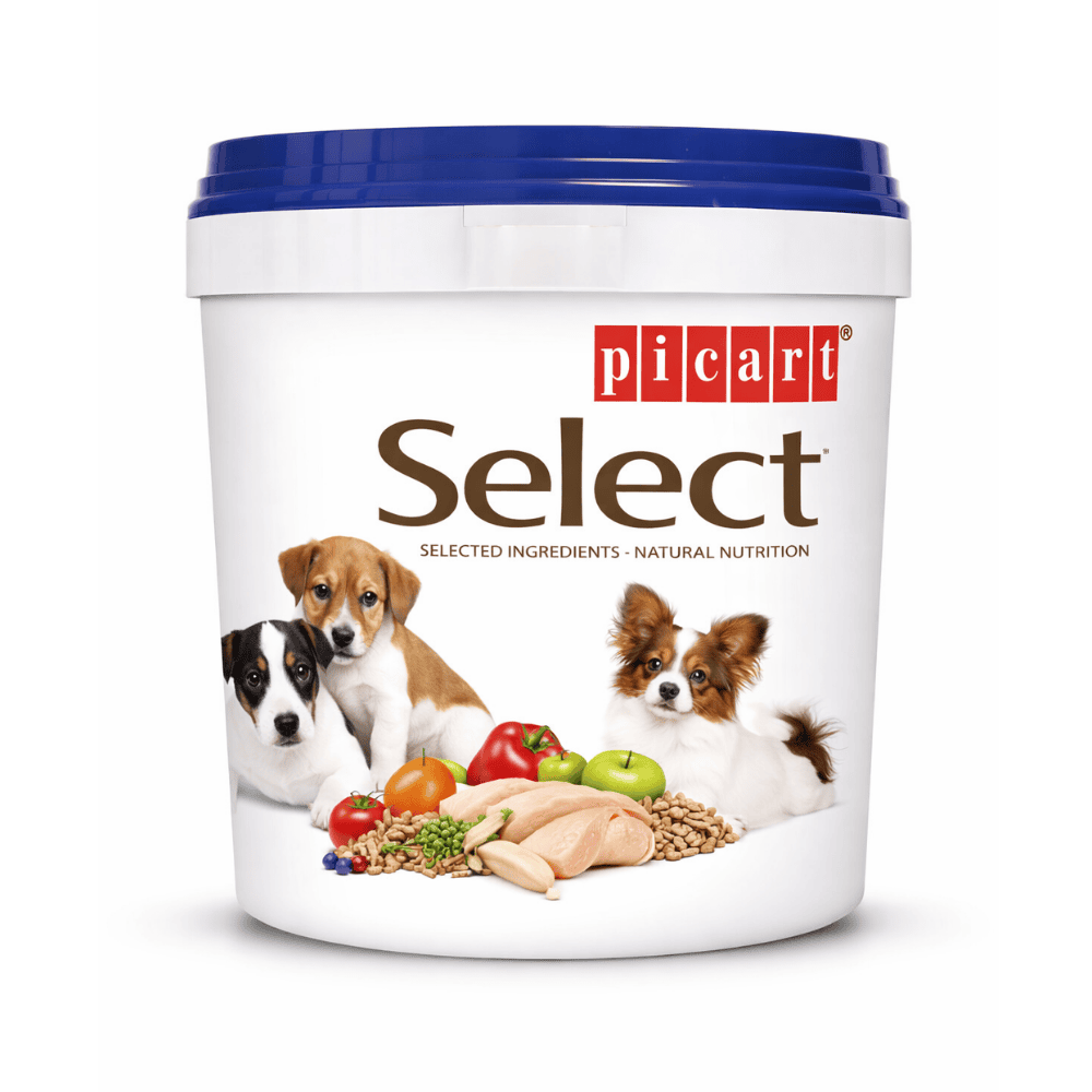 Picart Bidón para Guardar Pienso Pequeño 5,7L al mejor precio -Todoanimal.es