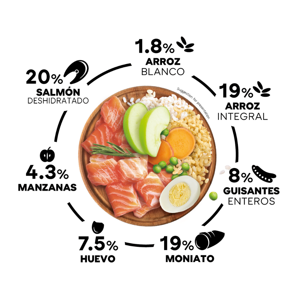Picart Select Adult Mini Extra Salmón & Rice Pienso para Perros al mejor precio -Todoanimal.es