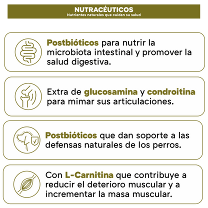 Picart Select Adult Sensitive Lamb & Rice Pienso para Perros de Cordero y Arroz al mejor precio -Todoanimal.es