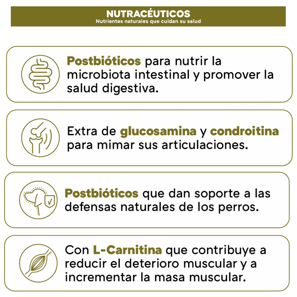 Picart Select Adult Sensitive Lamb & Rice Pienso para Perros de Cordero y Arroz al mejor precio -Todoanimal.es