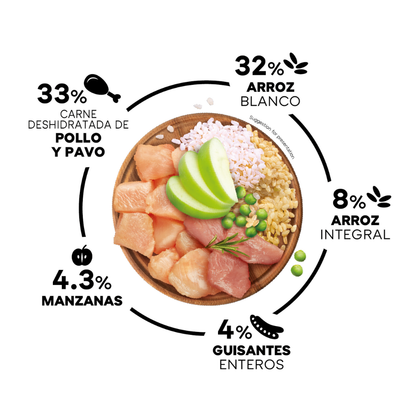 Picart Select Dog Adult Maxi Chicken & Rice 12 kg al mejor precio -Todoanimal.es