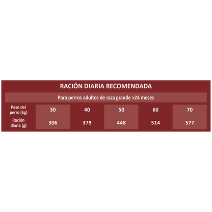 Picart Select Dog Adult Maxi Chicken & Rice 12 kg al mejor precio -Todoanimal.es