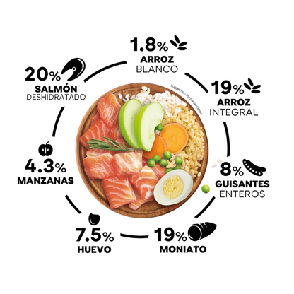 Picart Select Dog Adult Mini Salmón & Rice al mejor precio -Todoanimal.es