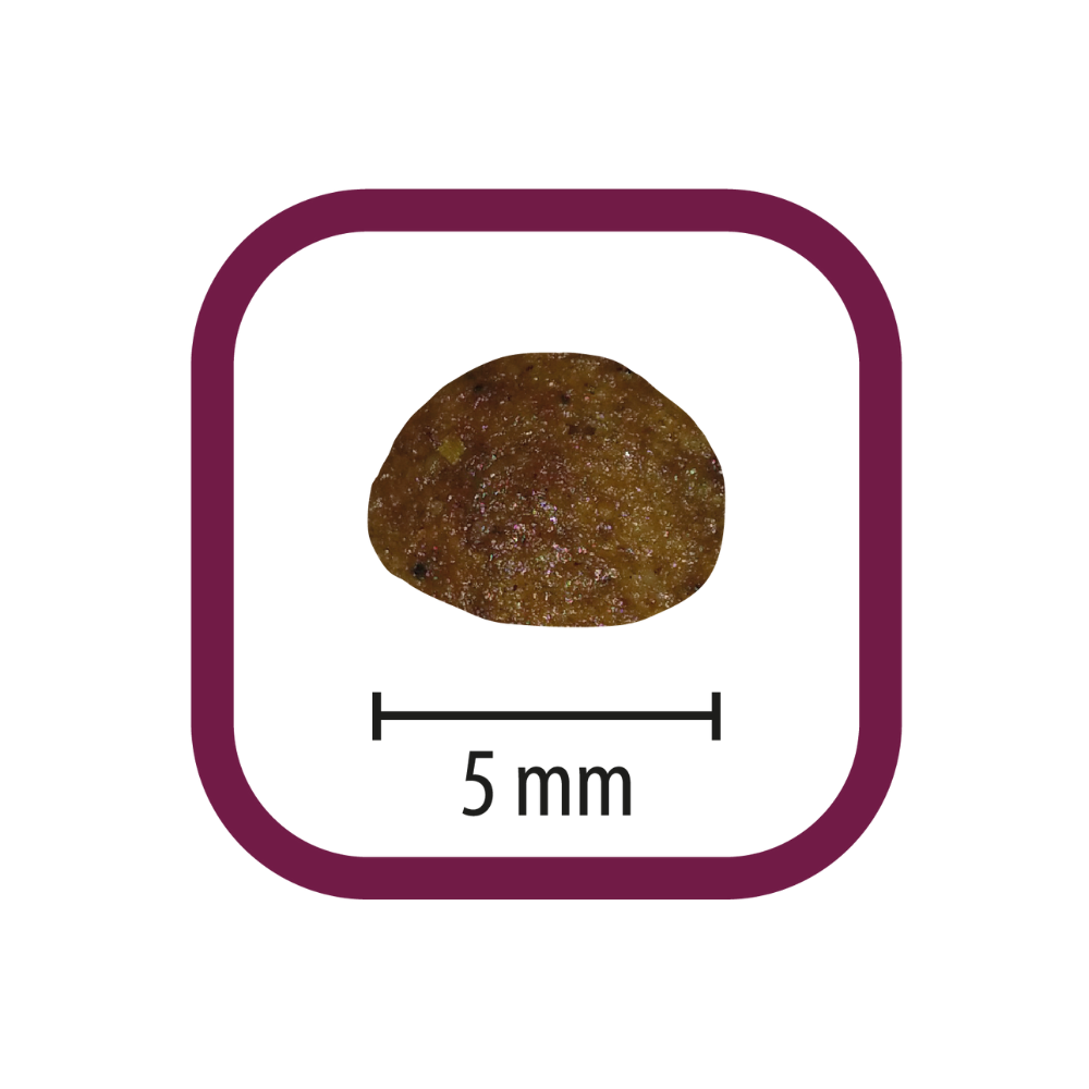 Picart Select Professional Starter 18 kg Pienso para Criadores al mejor precio -Todoanimal.es