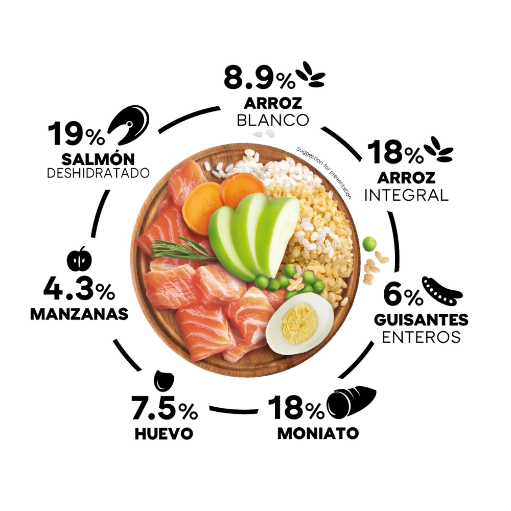 Picart Select Sensitive Extra Salmón & Rice Pienso para Perros al mejor precio -Todoanimal.es