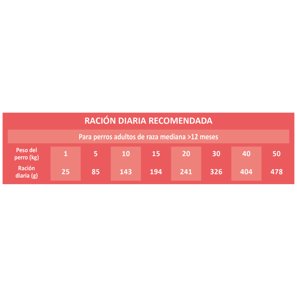 Picart Select Sensitive Extra Salmón & Rice Pienso para Perros al mejor precio -Todoanimal.es