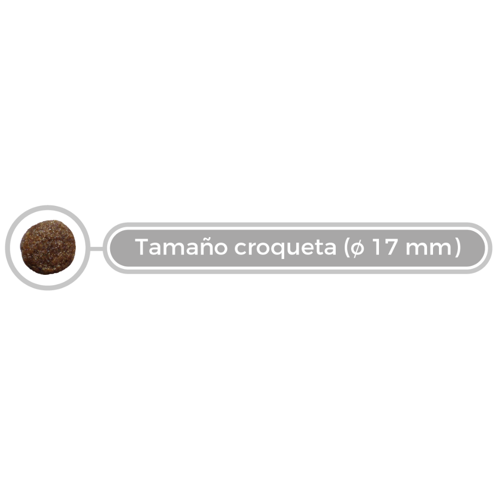 Picart Select Veterinary Mobility Pienso para Perros al mejor precio -Todoanimal.es