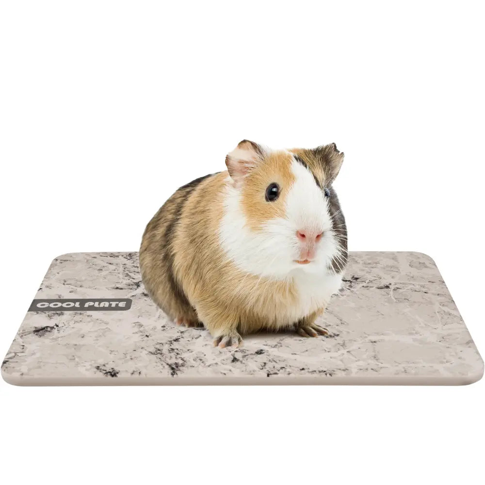 Piedra Refrigerante Dolo Para Roedor Gris S 12X8X0,7 cm al mejor precio -Todoanimal.es