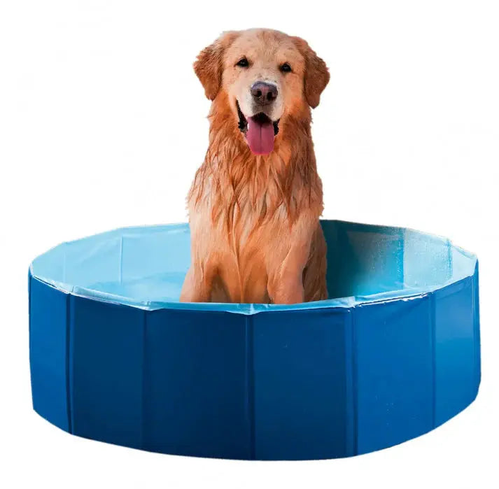 Piscina Para Perros 120Cm Wouapy Todoanimal.es