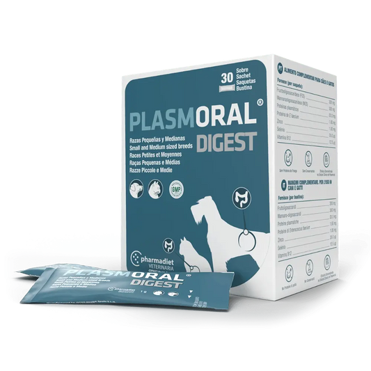 Plasmoral Digest Razas Pequeñas y Gatos Sobre(Trastornos Intsestinales) al mejor precio -Todoanimal.es