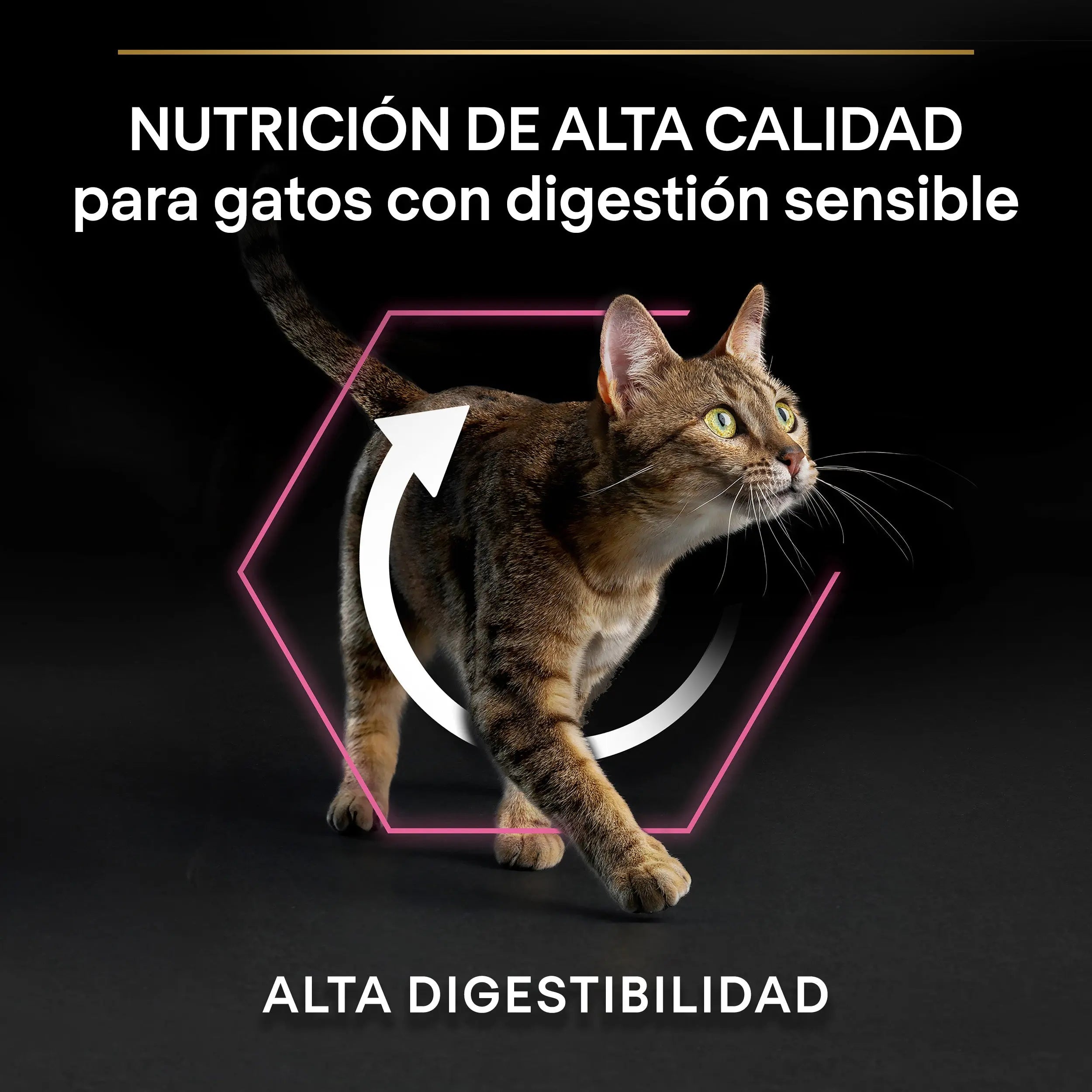 Pro Plan Cat Adult Delicate Digest Pavo 3 kg al mejor precio -Todoanimal.es