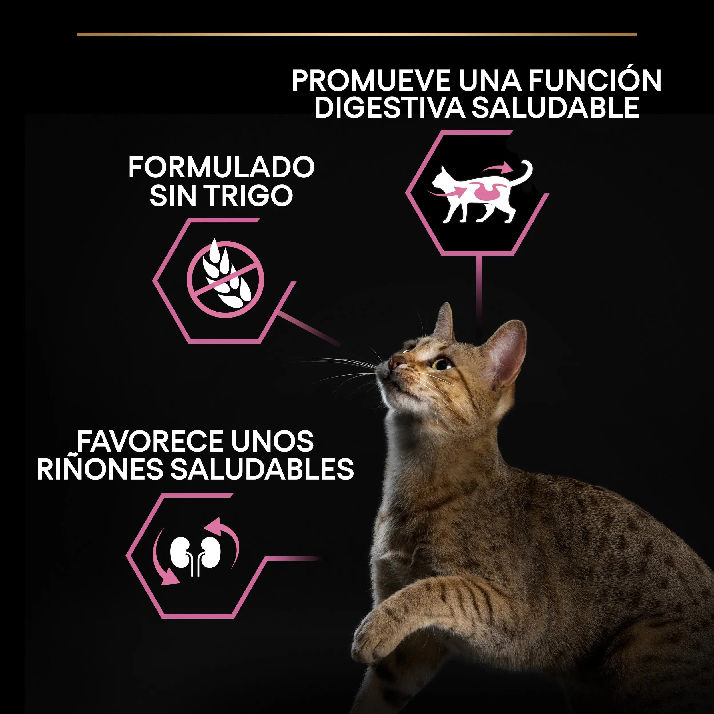 Pro Plan Cat Adult Delicate Digest Pavo 3 kg al mejor precio -Todoanimal.es