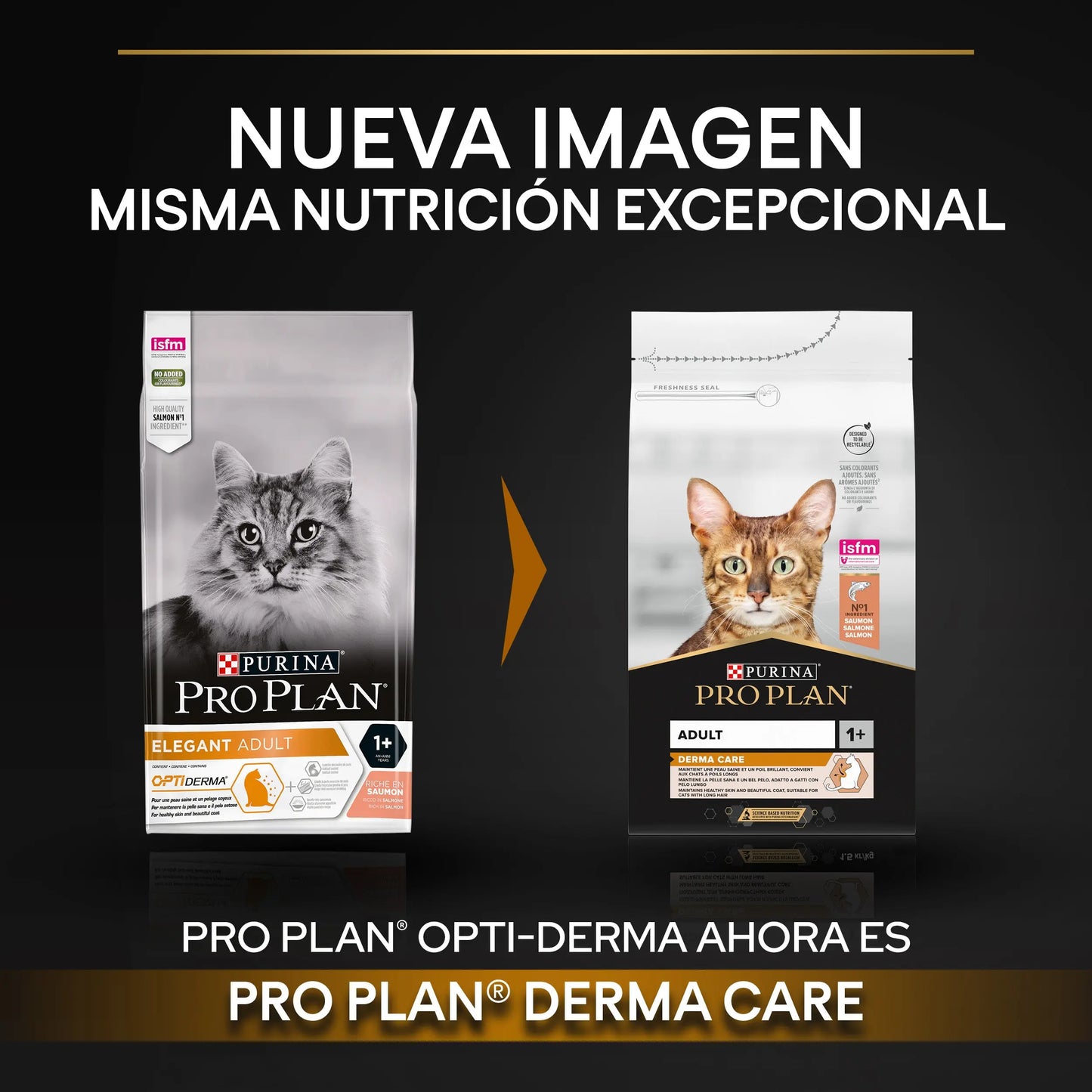 Pro Plan Cat Adult Derma Care Salmón 3 kg al mejor precio -Todoanimal.es