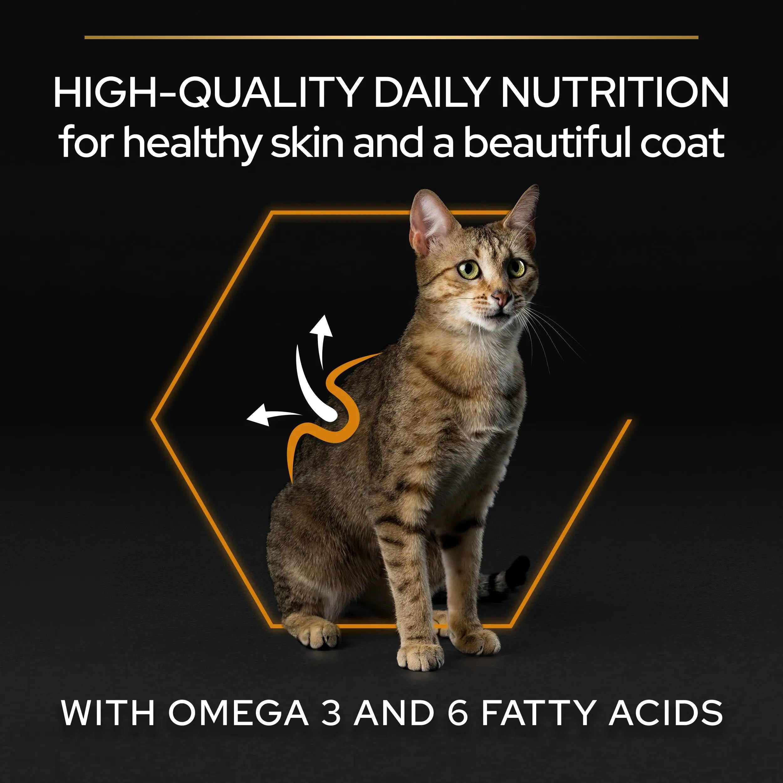 Pro Plan Cat Adult Derma Care Salmón 3 kg al mejor precio -Todoanimal.es