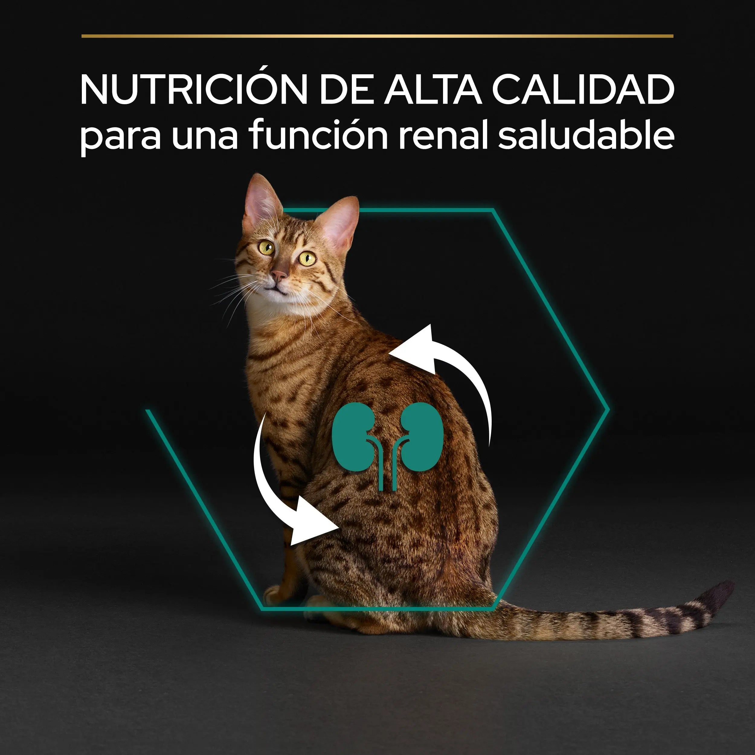 Pro Plan Cat Adult Renal+ Pollo 3 kg al mejor precio -Todoanimal.es